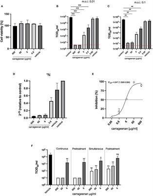 Iota-Carrageenan Prevents the Replication of SARS-CoV-2 in a Human Respiratory Epithelium Cell Line in vitro